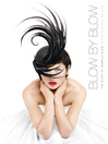 Blow by Blow (eBook): The Story of Isabella Blow